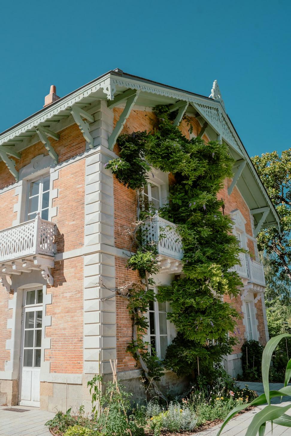 Cabbagetown Victorian Restoration