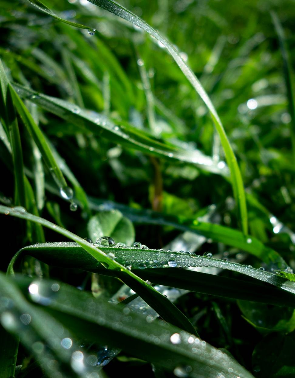 Water Management